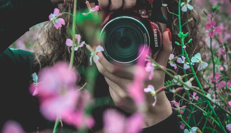 selective focus of woman behind pink flowers holding red Samsung bridge camera about to take photo of flower
