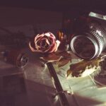 MILC camera beside red rose