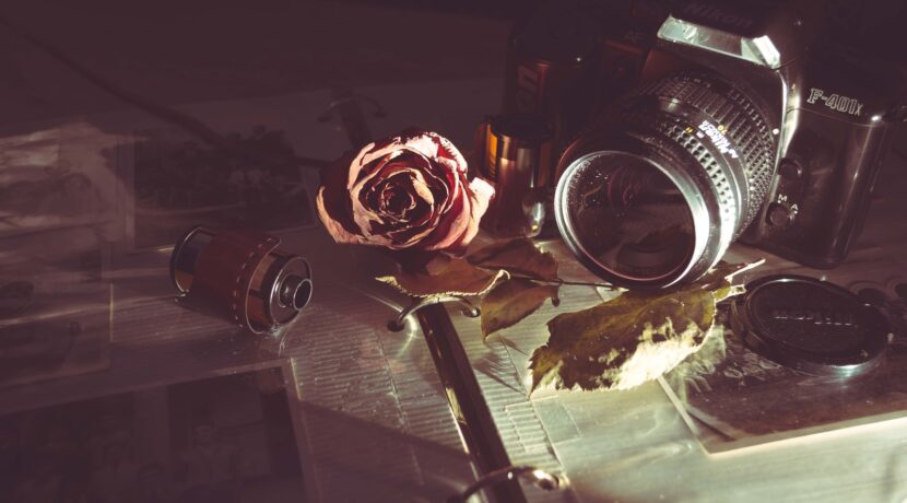 MILC camera beside red rose