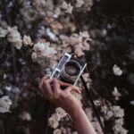 person holding silver and black camera