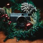 a camera on a tree