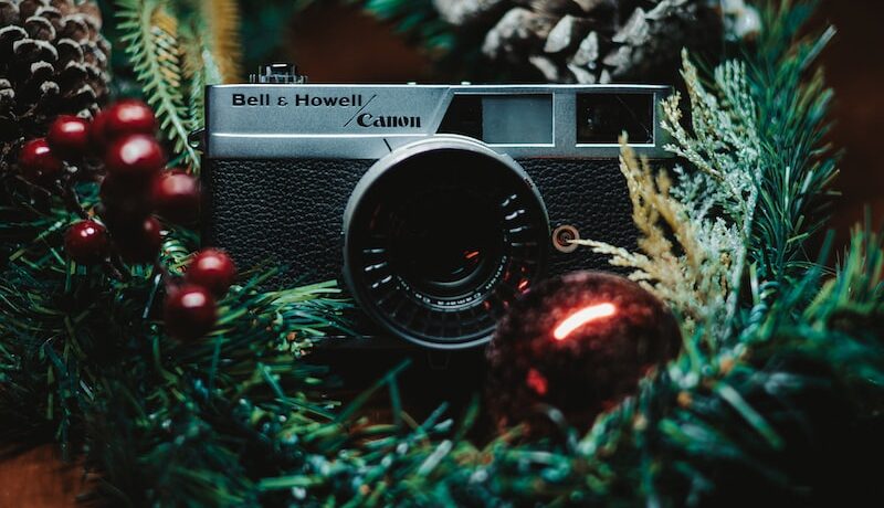 a camera on a tree