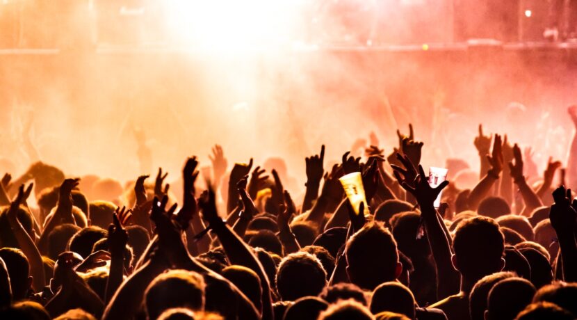 people raising their hands on concert