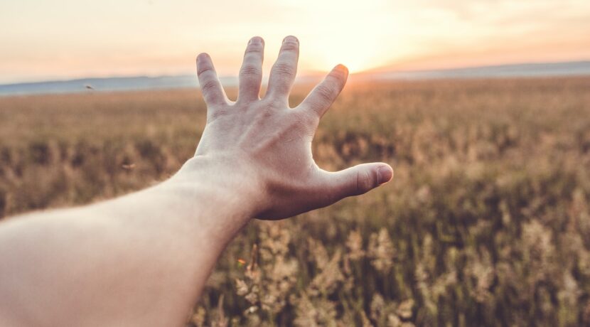 person's left hand