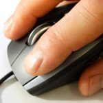 computer mouse, mouse, pc
