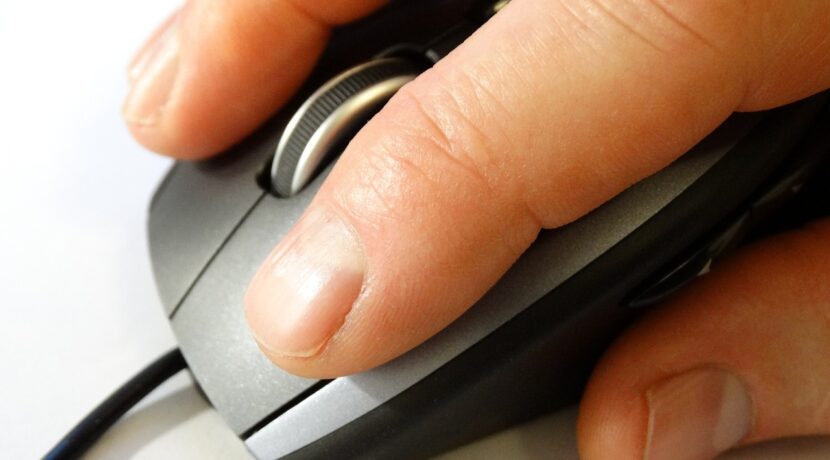 computer mouse, mouse, pc
