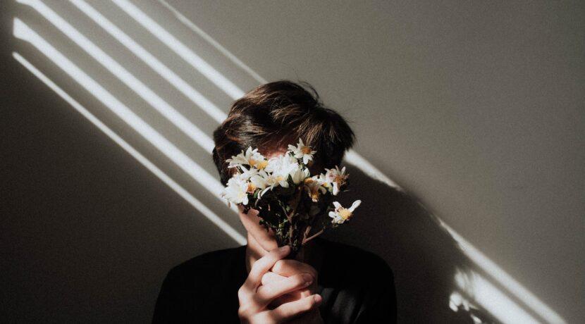 person holding white daisy flowers