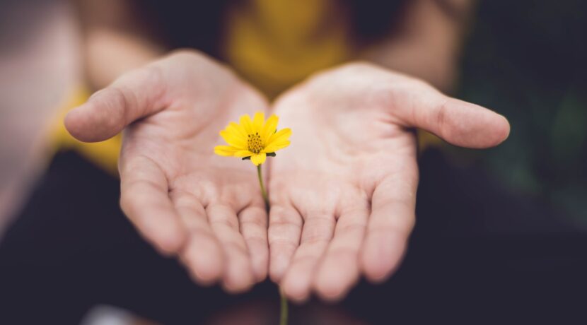selective focus photography of woman holding yellow petaled flowers
