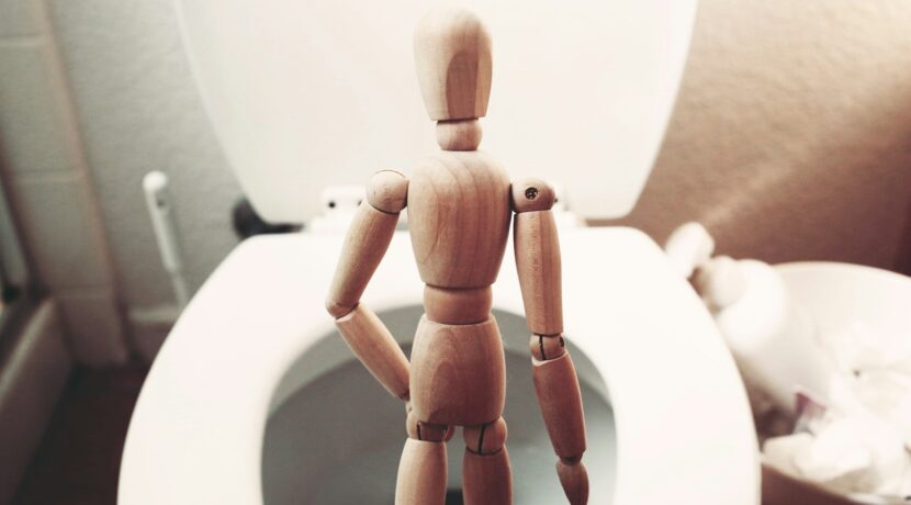 brown wooden mannequin on white ceramic toilet bowl