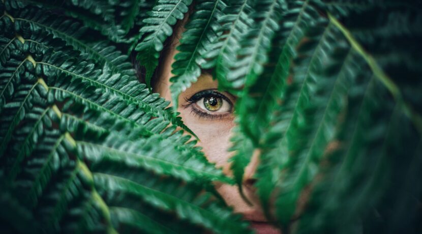 person hiding on tree leaves