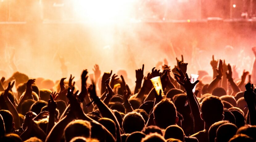 people raising their hands on concert