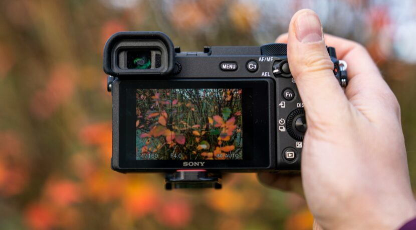 person holding black dslr camera