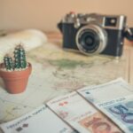 selective focus photography of cactus plant and banknote on table