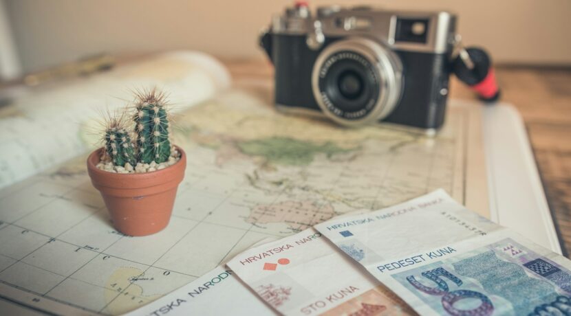selective focus photography of cactus plant and banknote on table